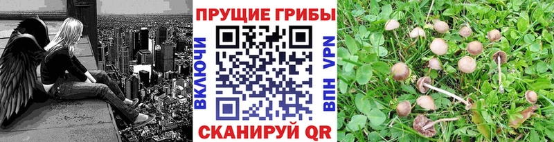 Галлюциногенные грибы мицелий  Чишмы 